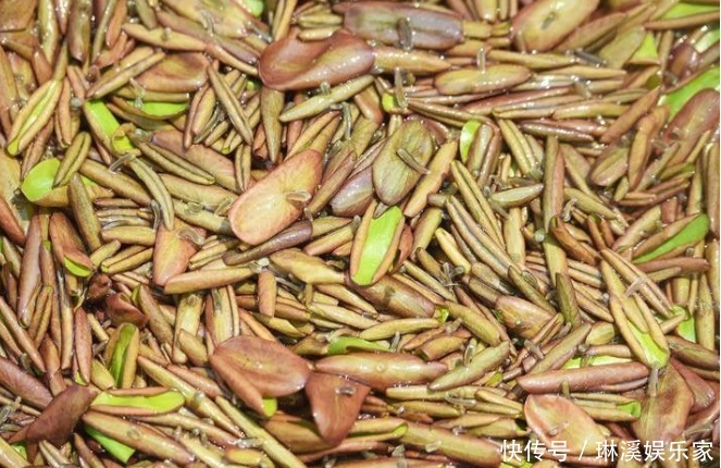 红润|女性“大姨妈”期间,多吃一物,排出子宫污血,肌肤也透亮红润!