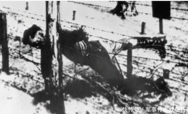 营救|雅科夫被德军俘虏,斯大林为何不营救?看看他的态度是怎样的