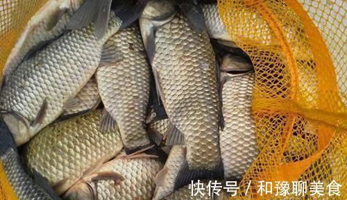 钓鱼技巧：民间野钓大板鲫绝杀招数，蘸米钓的操作要点！