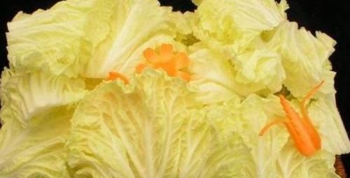 刮油清肠|女性养生推荐常吃几种食物,补充营养,改善体质,爱吃就赚了