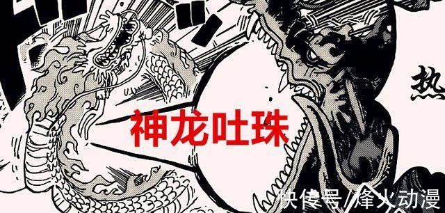 桃之助|海贼王1026话:凯多大妈各损失一位皇副，明哥苦练40年却败于血统