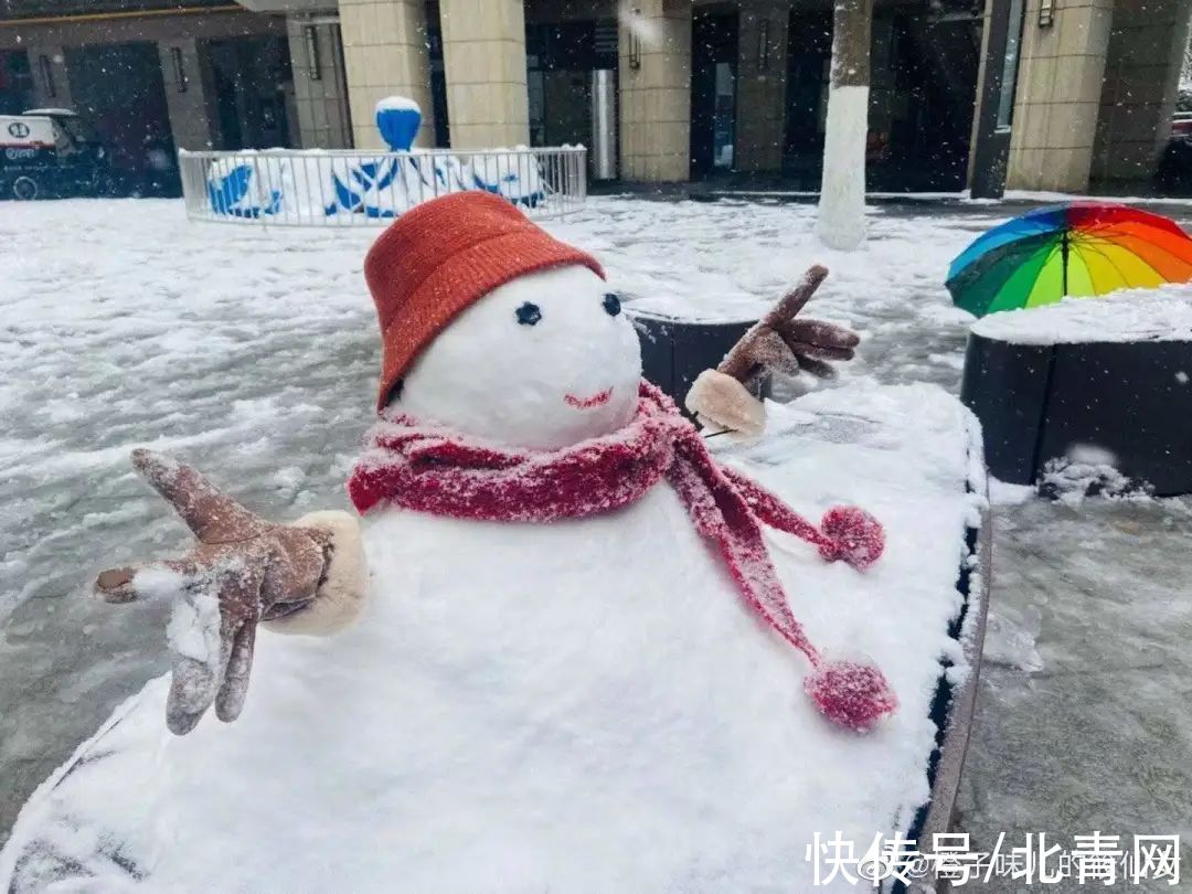 雪人#雪人大比拼，长沙人确实不走寻常路！特别是有位兽医的作品