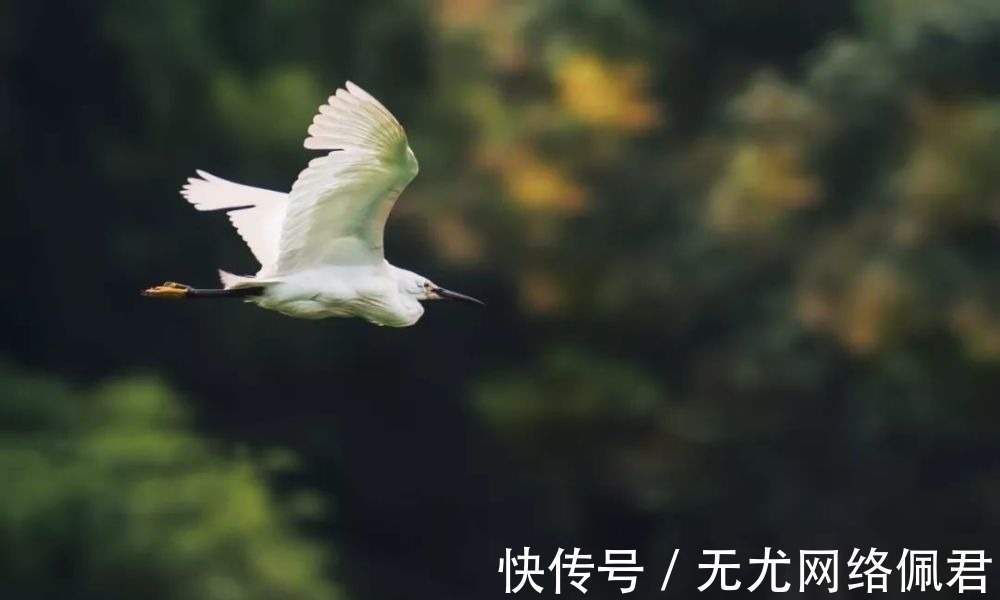 陈胜吴广！《史记》里最精妙的一篇文章，三句名言，影响千年