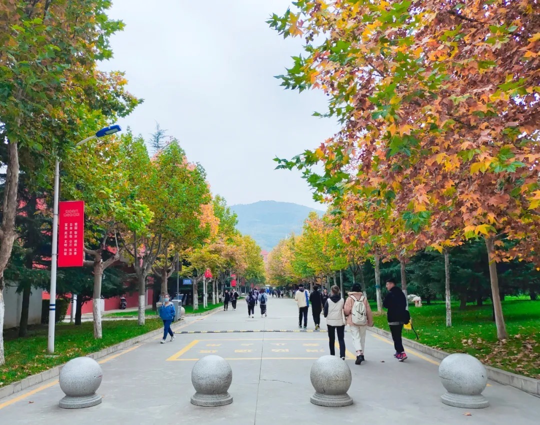  师院|木叶纷纷落 满身都是秋 | 让我们一起点亮师院的秋天吧