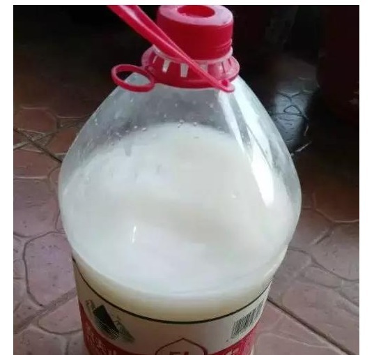 橘子皮|还用淘米水浇花没掌握以下正确方法,浇啥死啥!