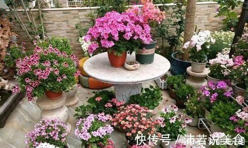 郁金香|7个绝美花园，个个美炸了天，等有钱了我也要建一个