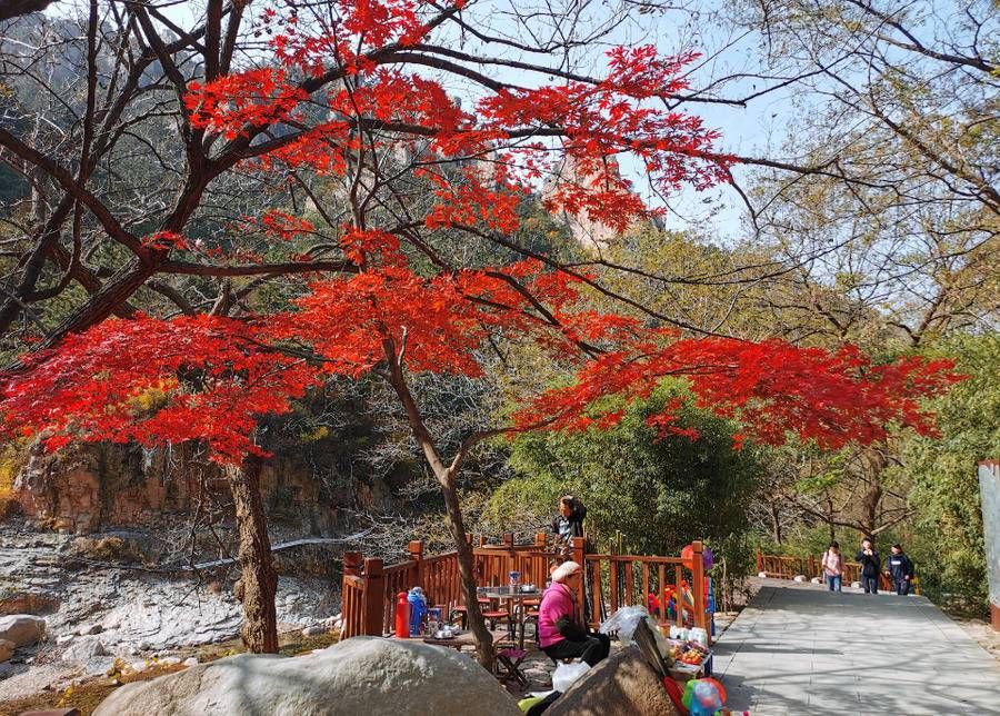 青岛市|秋游北九水