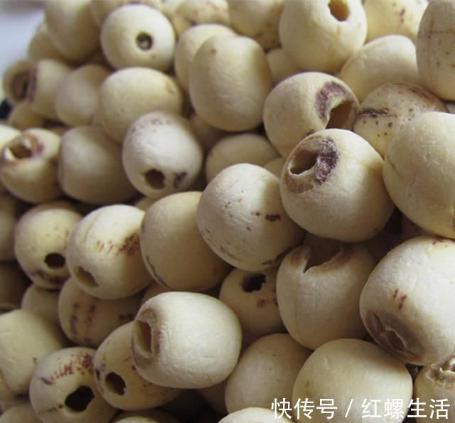 白术|脾胃失调的人，六种食物换着吃，健脾养胃，还能促进消化