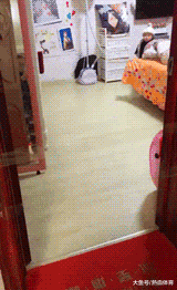 |搞笑GIF:别装了 我知道你就是故意的