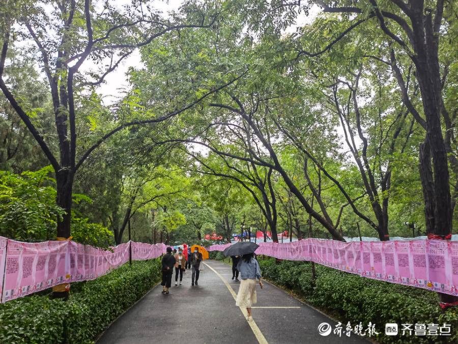 相亲大会|雨中情！千佛山相亲大会开幕第二天，现场浓情满满