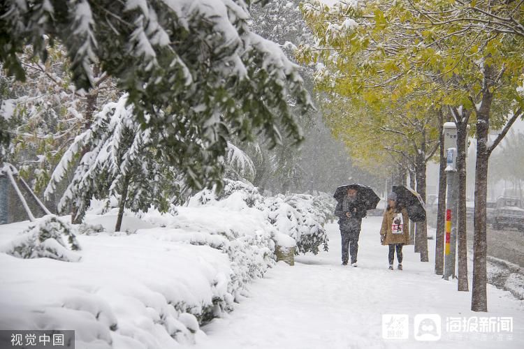 二候虎$诗话大雪丨飘飘白雪飞 青竹变琼枝