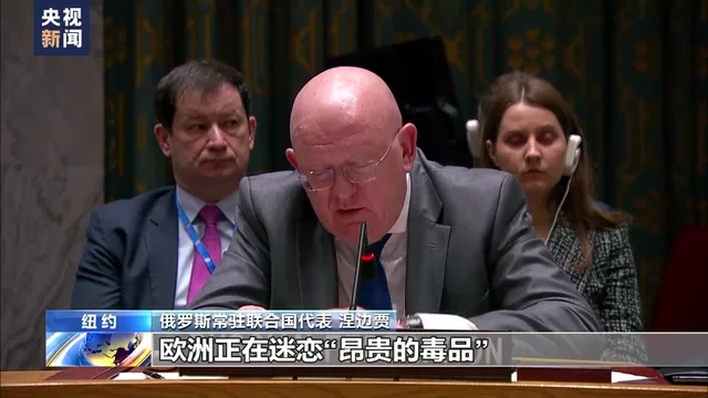 俄罗斯常驻联合国代表：为避免激怒美国欧洲忍气吞声