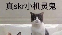 熙华|当配音演员cos自己配音的角色,熙华太配,忘羡要搞事情?