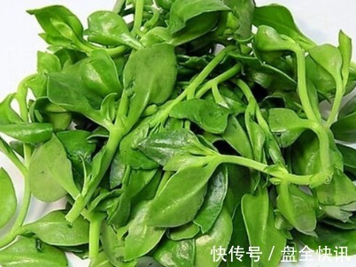 抗炎|天然“阿莫西林”被发现,抗炎止咳不在话下,最重要还好吃