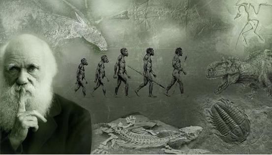 未来的人类长什么样吗？计算机模拟出未来人的形象，看起来有点丑