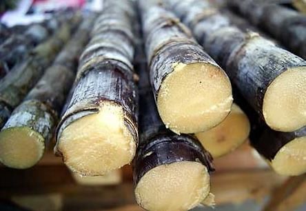  没开玩笑，冬天就要把甘蔗“红烧”着吃，香甜美味吃完也不咳嗽了