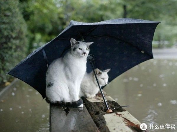 霉菌|建议大家：不管再节俭，这25件东西能丢就丢，真的不用心疼