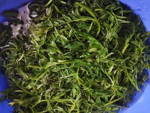  好吃|这是什么野菜，你知道吗？3块钱买了一袋，炒出来比豌豆尖还好吃