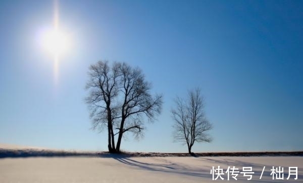 巨蟹|7天后，梦想成真，桃花朵朵，财运上涨，幸福美满的3大星座