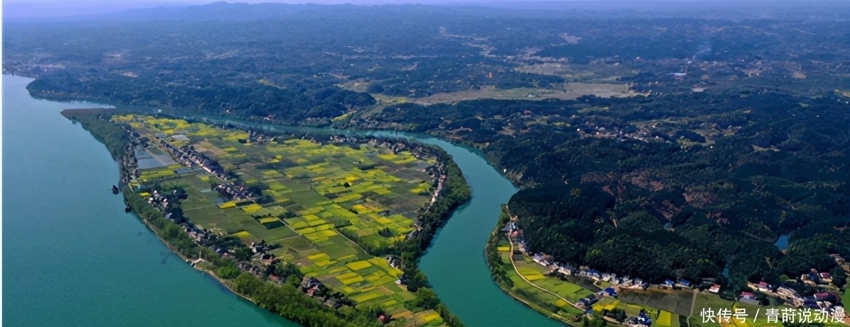 《向往的生活5》来袭,网友:这三个月,我又不担心综荒了!