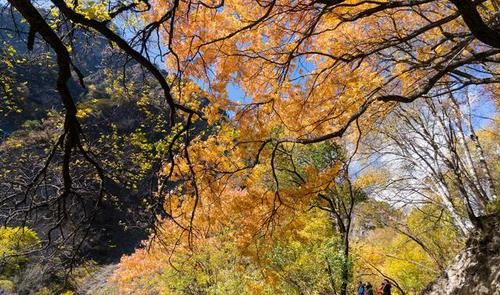 茂县有处景区不逊色于九寨沟，距离成都200多公里，却少有人知