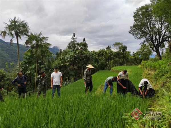 墙裂推荐（红河人才网）h红河人才网 第3张