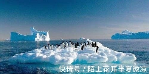 Bprikzgogbxu M