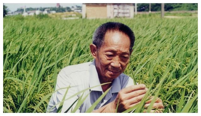 拜托了冰箱|苏芒650元一天伙食费上热搜，明星奢靡之风严重，节俭真的很难吗