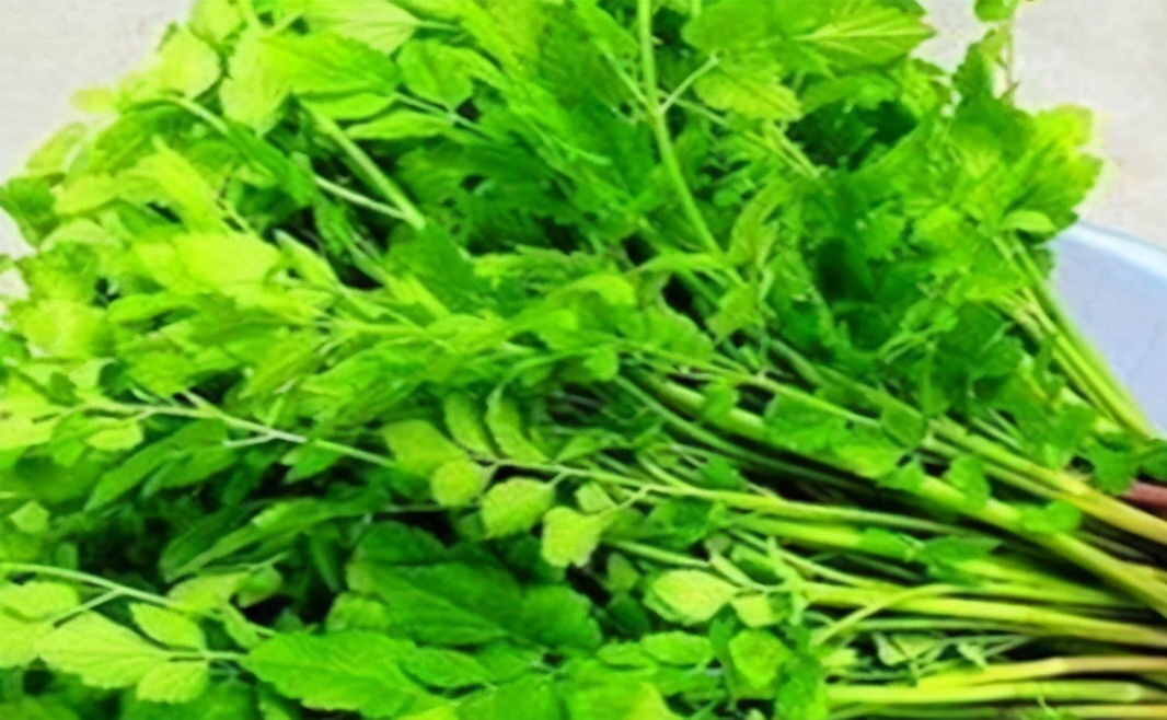 茉莉玫瑰粥|女性推荐多吃3种食物，美容养颜、抵抗衰老，早吃早好！