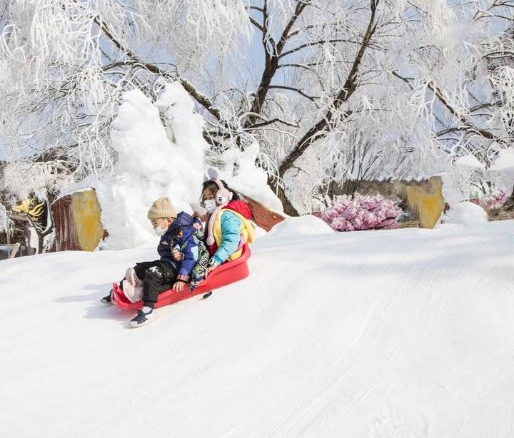 跑马岭|齐鲁雪乡跑马岭雾凇、冰挂、漫山遍野的冰雪世界