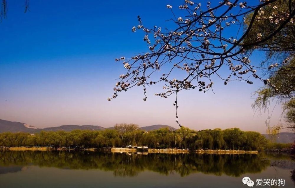 诗僧|和尚写下一首禅理诗,告诉了世人很多大道理,每一句都是至理名言