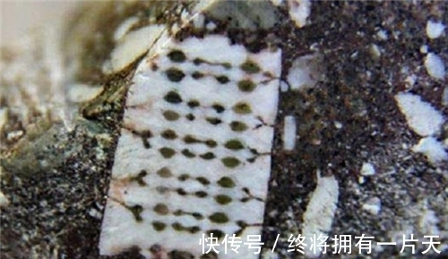 半导体|渔民捡到奇石,镶嵌2.5亿年前“芯片”,史前真的存在高等文明?
