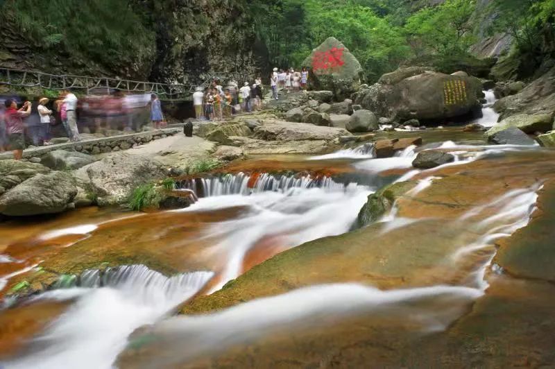 红叶|“浙”里推出100条乡村旅游精品线路 绿色康养到临安