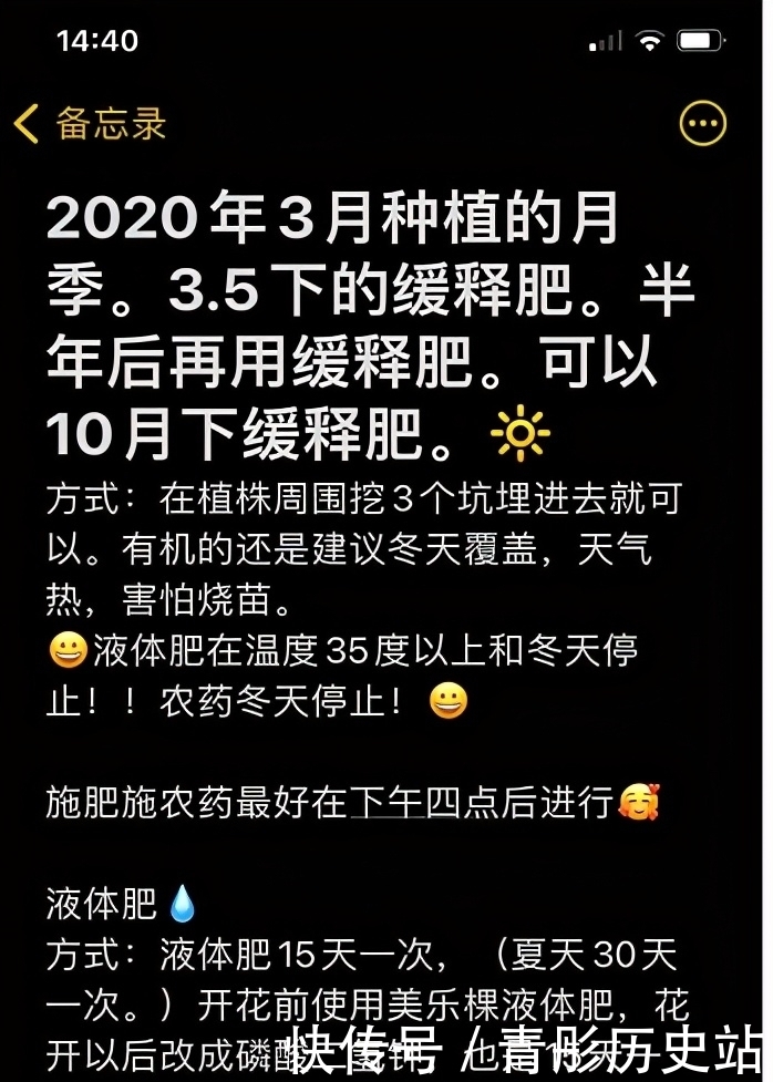 张馨予:“种花侍母”表孝心,母亲节前一天将一园子月季送给妈妈