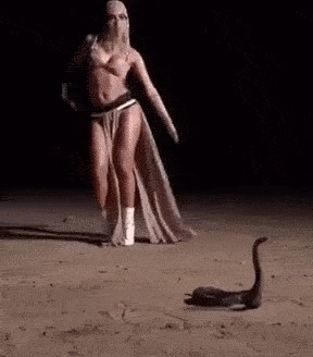 |搞笑GIF:这个自行车仅限女性使用,但我不知道为什么