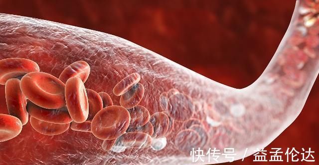 营养物质|人到40,就怕血管“堵”,常吃这5种食物,或能让你的血管更畅通