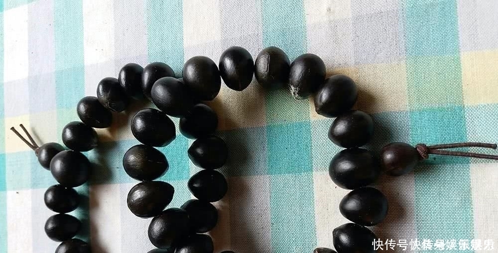 人稱“鬼見愁”，長得酷似龍眼，果肉能當肥皂用，種子能做手鏈