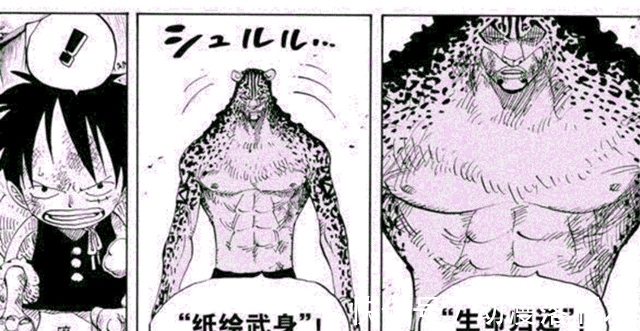 生命|海贼王：路飞为何重伤吃肉就能恢复？他偷学的这一绝招鲜为人知