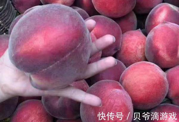 四川发现一个大叔种的果树！果肉鲜甜多汁，富含花青素