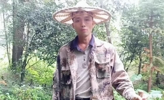 农村一种满地都是的普通野草,是对结石很有效的草药