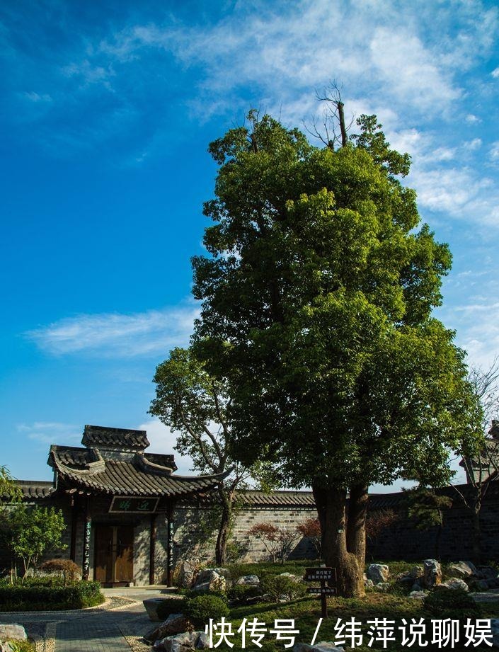 从《儒林外史》看清朝教育腐朽的悲哀