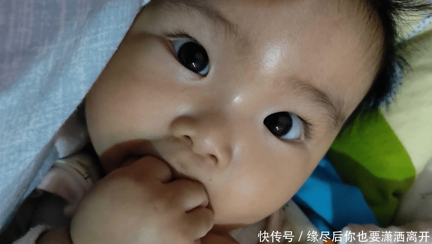 大脑|荷兰大学教授:娃必经的“大脑飞跃期”,辅食吃得棒,聪明又强壮