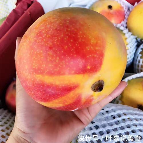 桑葚干|男人一旦过50,烟酒少碰,这些食物可以放开吃,营养极高还不贵