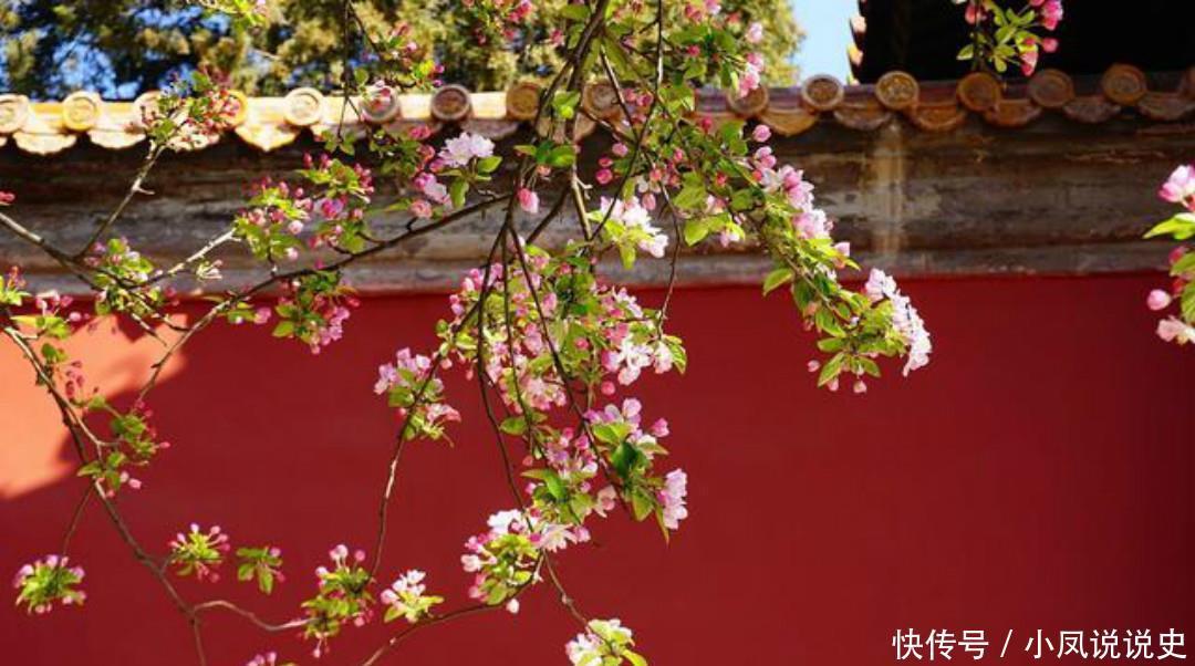 岑参两首不可不读的经典,每一首都很孤独,写出了繁华过后的落寞