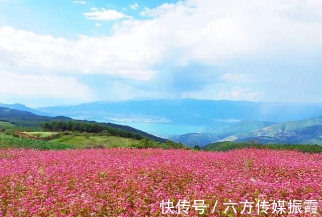 山谷|「阿觉诗」遗世山谷的荞麦花海