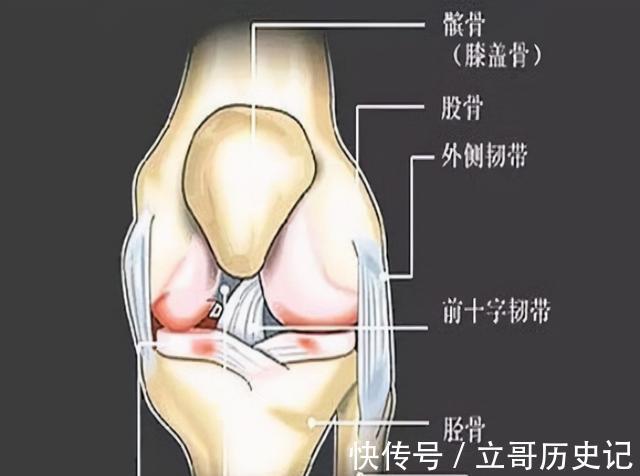 保护|等老了再养膝盖就晚了，保护膝关节，从这4种方法开始