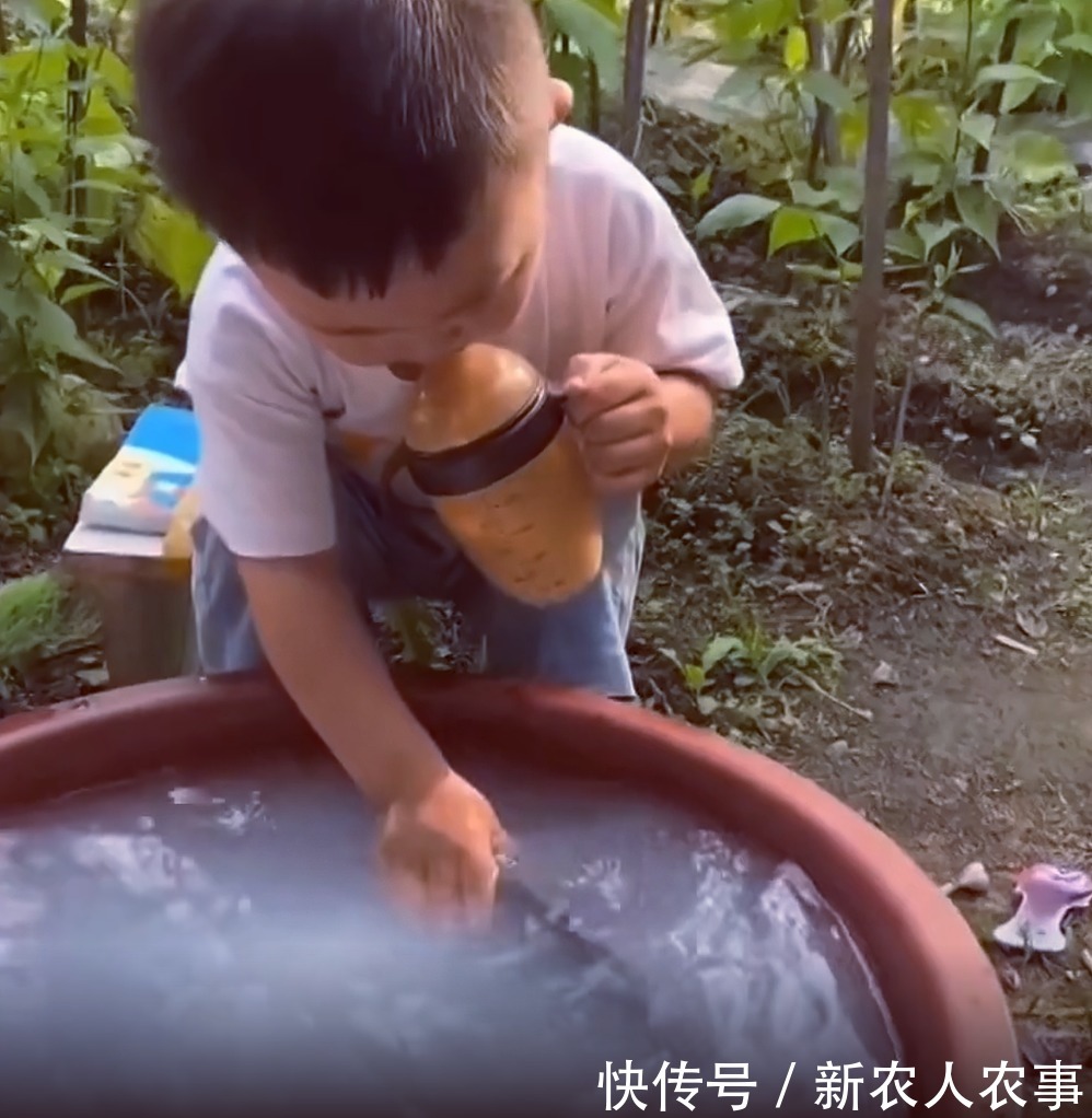 萌娃|萌娃不想鱼被卖掉，抱起来就往家跑，一系列神操太有爱了