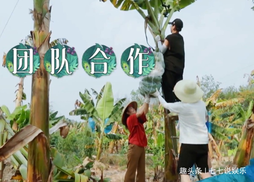 向往的生活黃磊做飯速度跟不上,節(jié)目組又悄悄為嘉賓點(diǎn)外賣