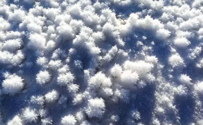 凝华|杭州西湖雪，上海“高空雪”，冬奥赛道雪，它们都是一样的雪吗？