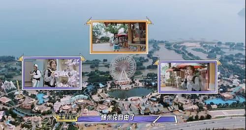 小哥们|小哥队全员伪装，这次大哥队还能认出他们吗？